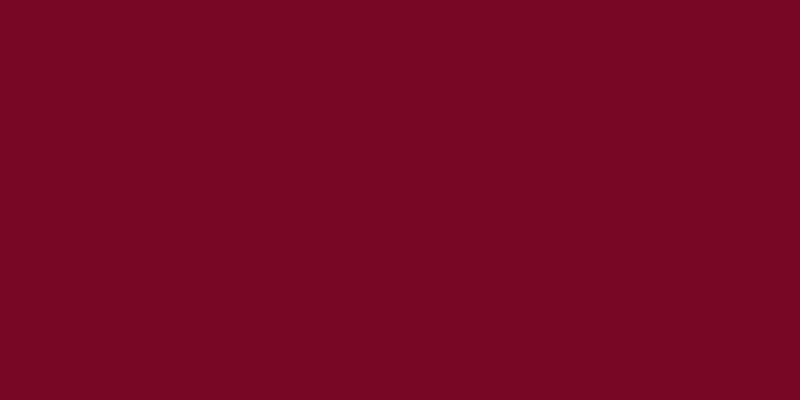 All-Purpose Plastic Zipper 16" Barberry Red