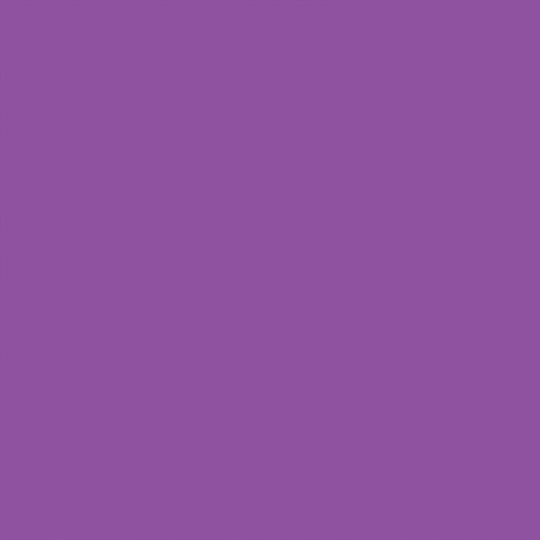 EchoParkFreshlyPickedCardstock12"X12"-Lt.Blue/Purple